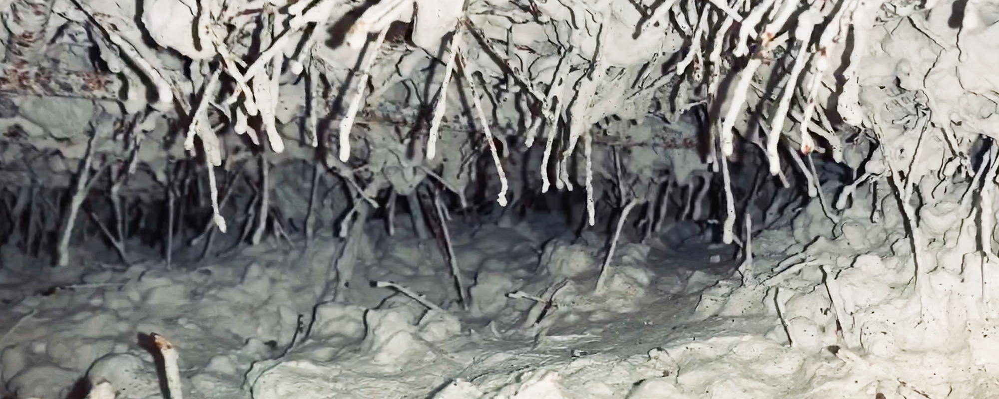 Non Destructive marketing Technology